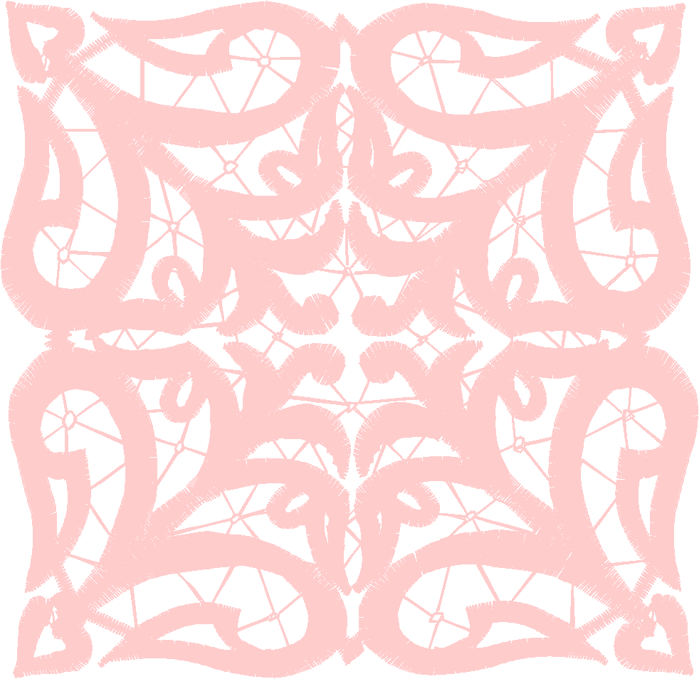 Lace 48 (18)