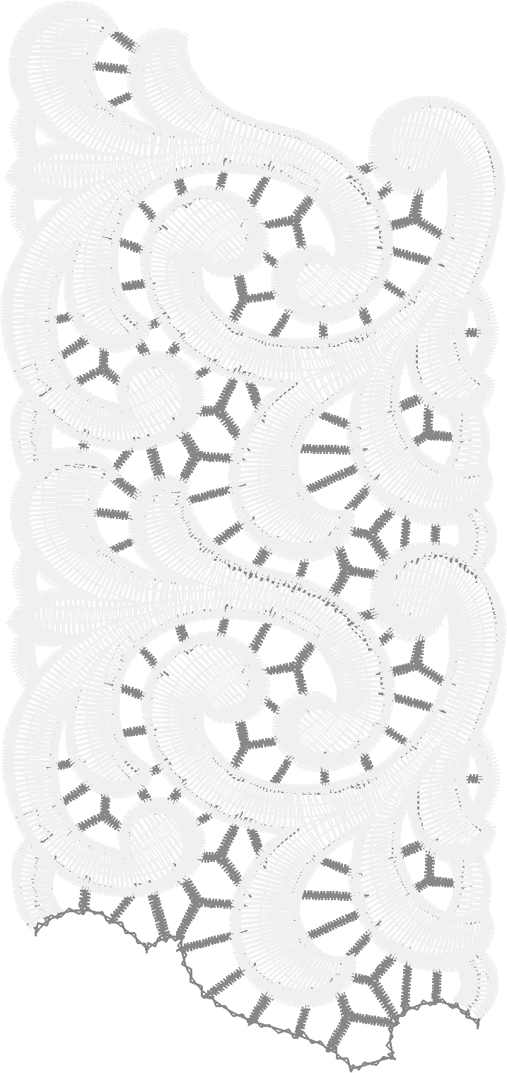 Lace 49  (20)