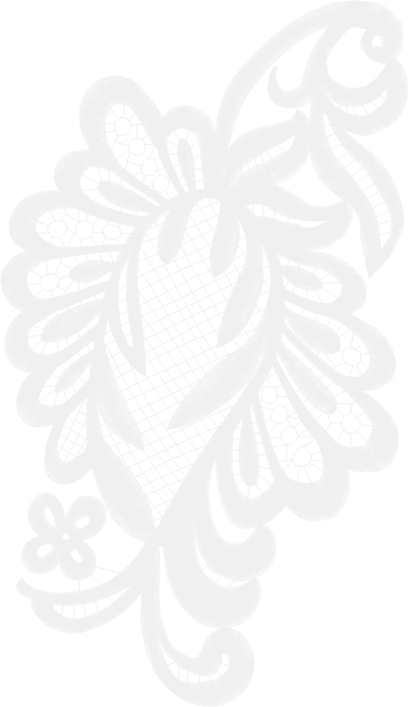 Lace 51  (1)
