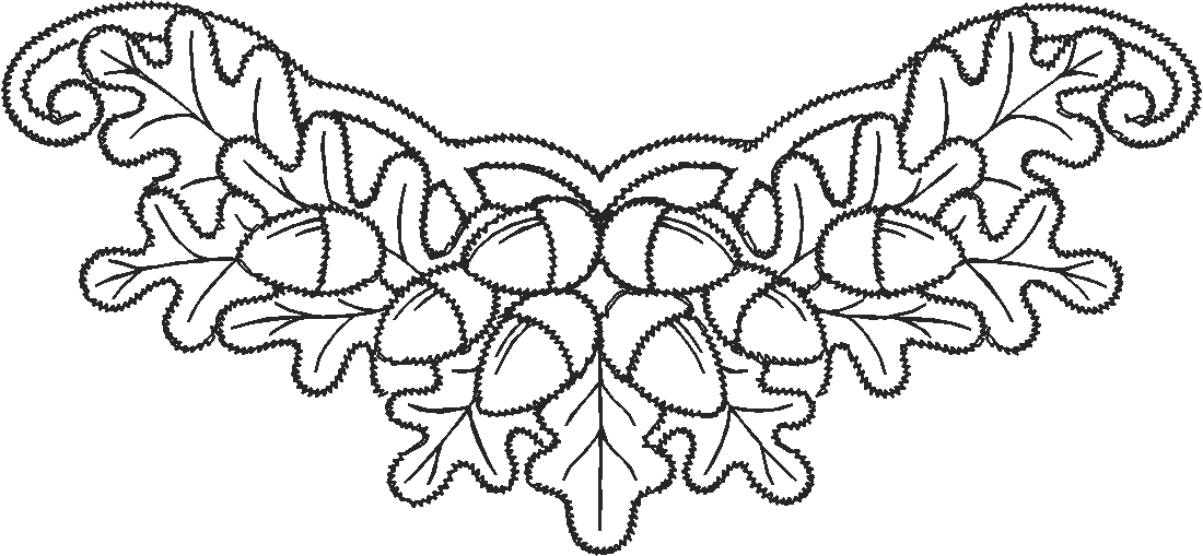 Lace 54  (13)