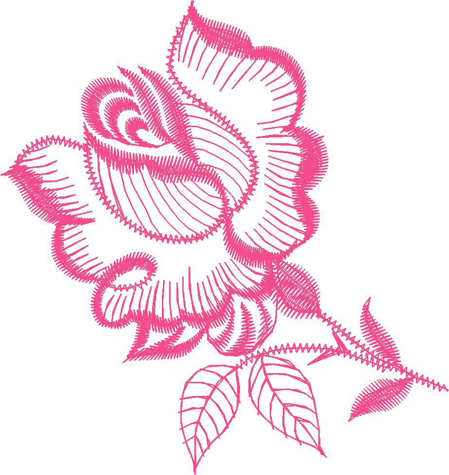 #1rose