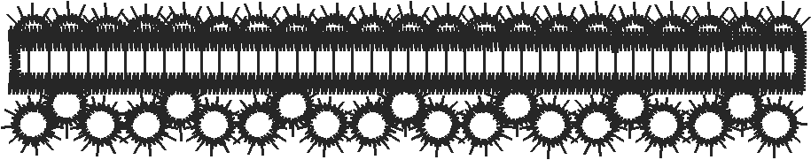Cswklc20
