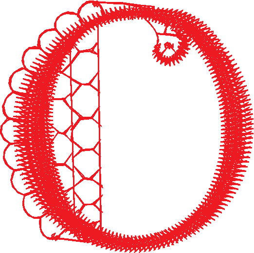 O