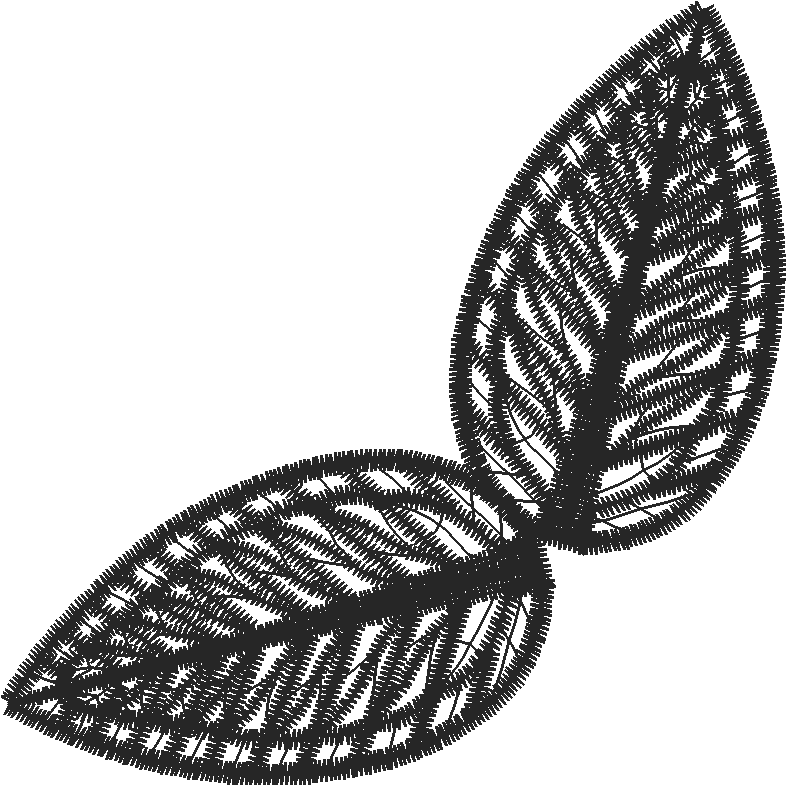Pnsta3b2