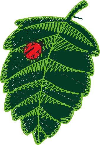Ladybirds 1  (13)