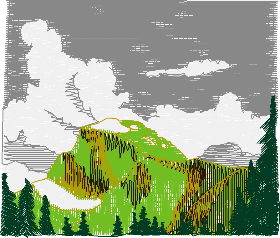 Landscape 1  (40)