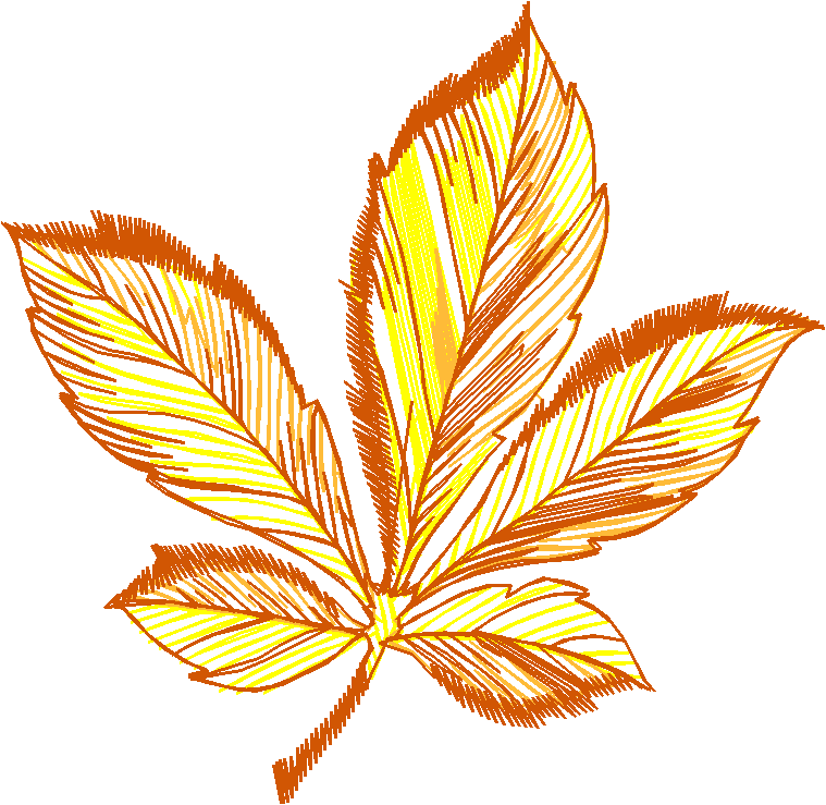 Leaves 3 (13)