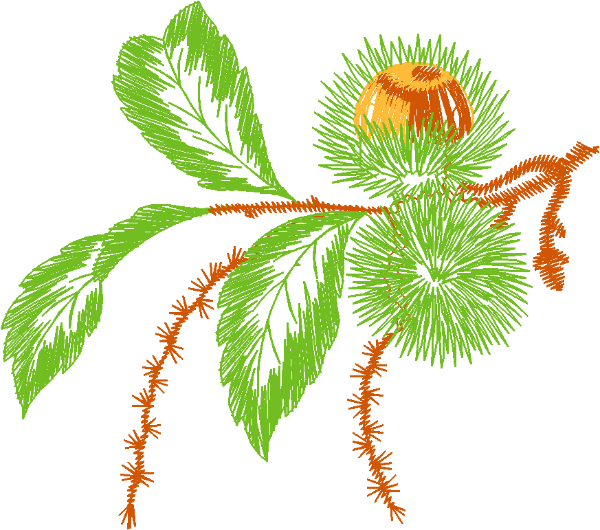 Leaves 3 (6)