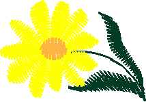 Little Bits 1  (13)