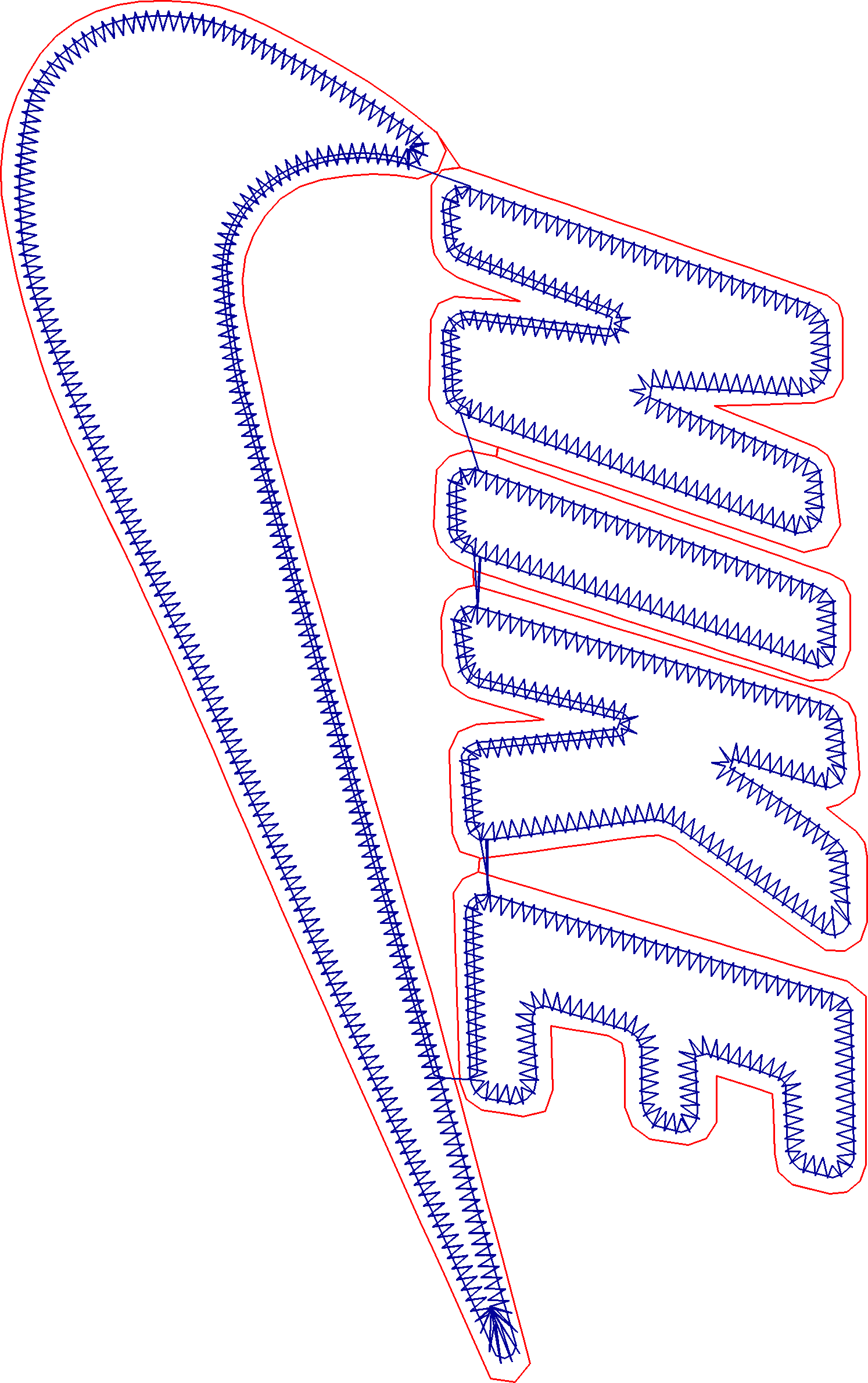 n19 (1)
