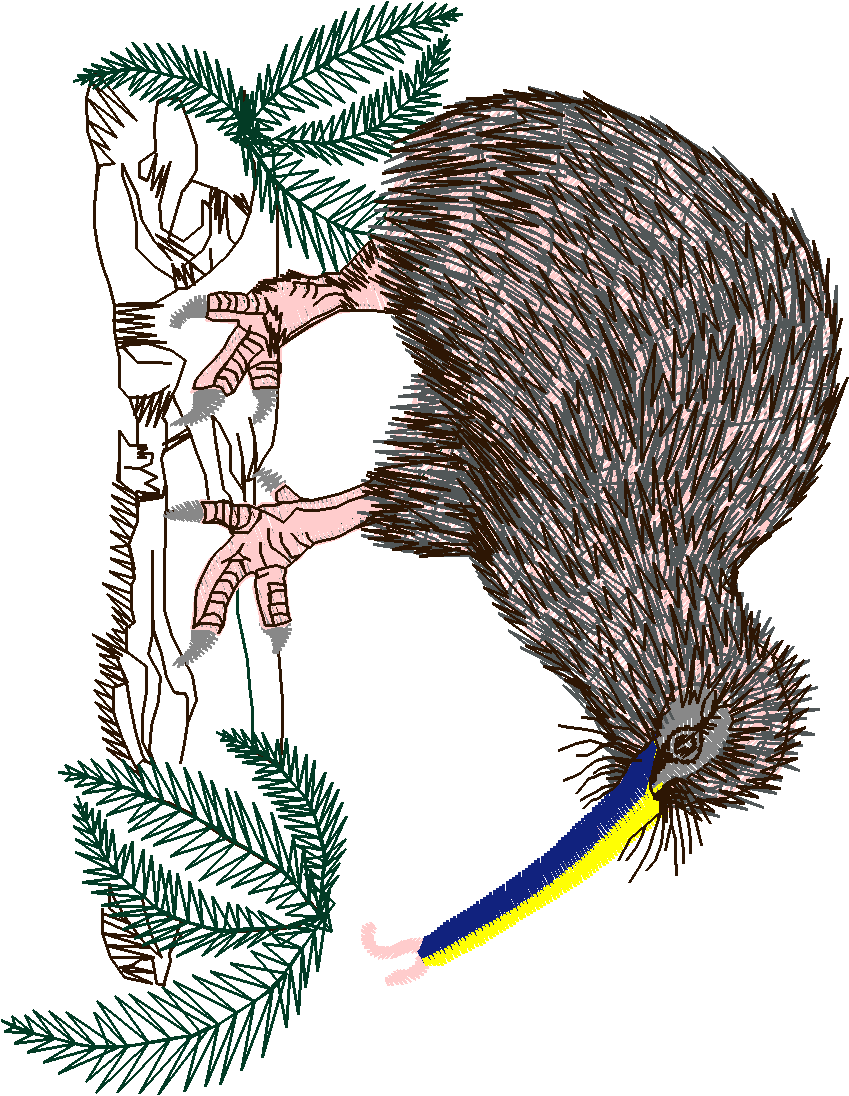 Oz 1  (16)