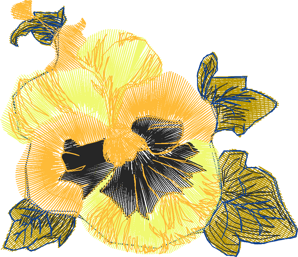 Pansies 1 (5)