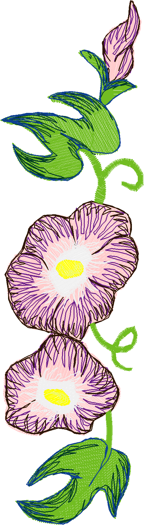 Pansies 3   Big Hoop  (2)