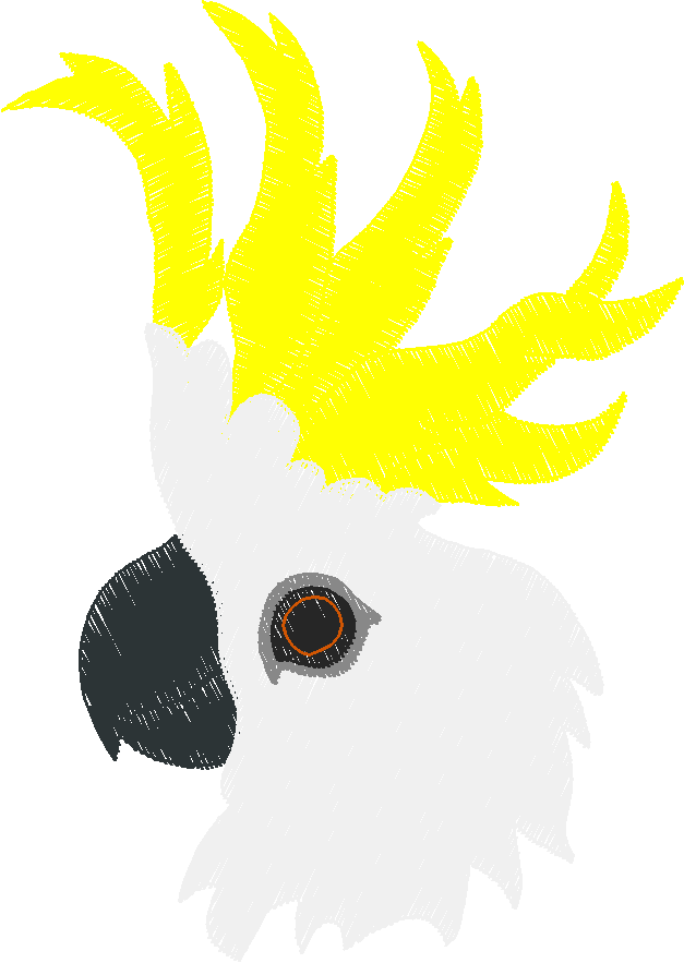 Parrots 1  (19)