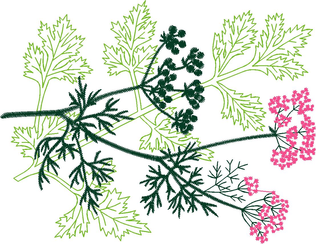 Pfaff 1  (59)