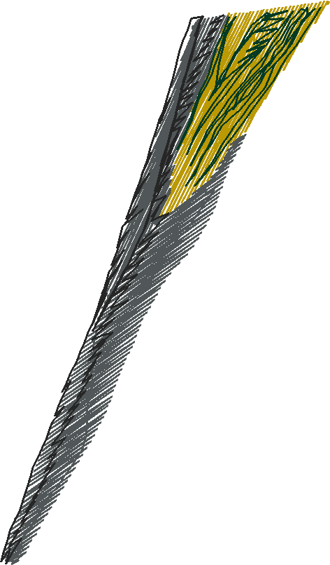 Pfaff 2  (91)