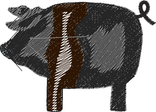 Pigs 1  (14)