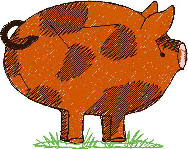Pigs 1  (31)