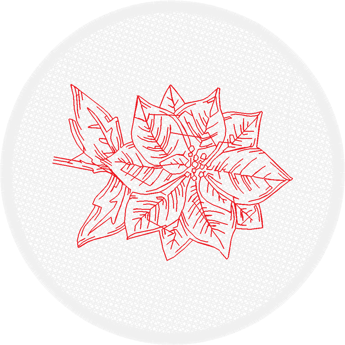 Poinsettias  1 (16)