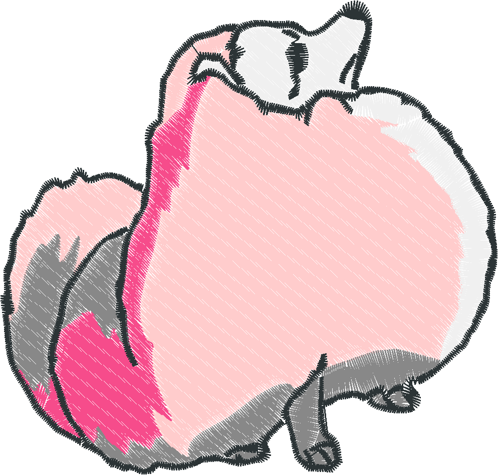 Pomeranians 1  (9)