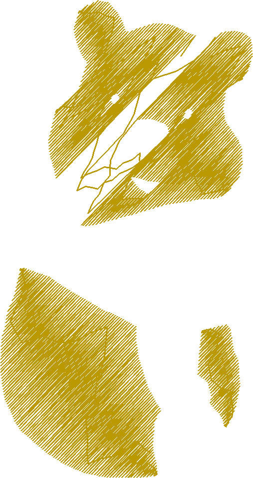 Pooh2
