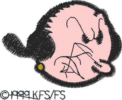 Popeye016
