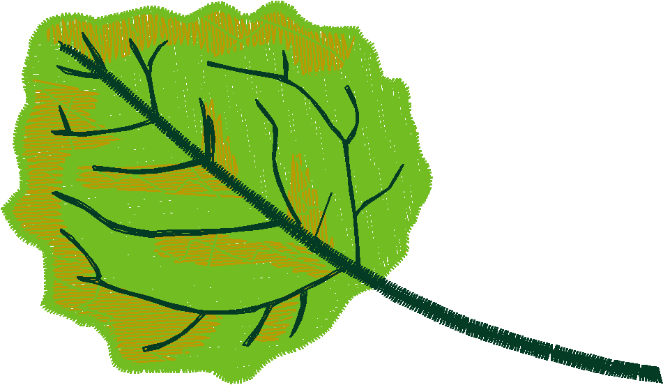 Pressed Leaves 1  (22)