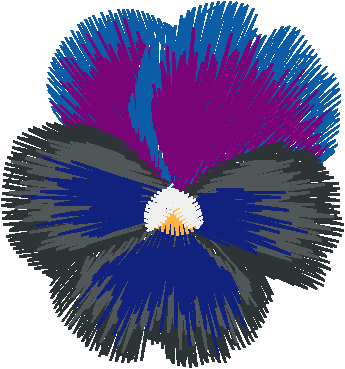 Purple Pansies