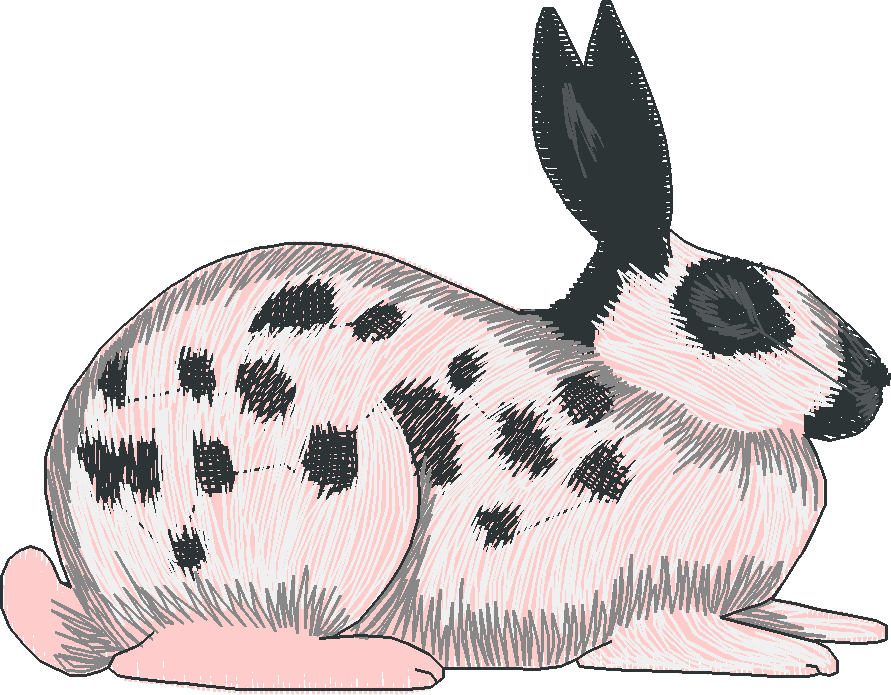 Rabbits 3  (10)