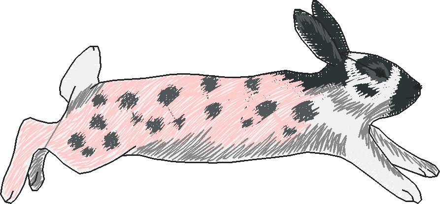 Rabbits 3  (14)