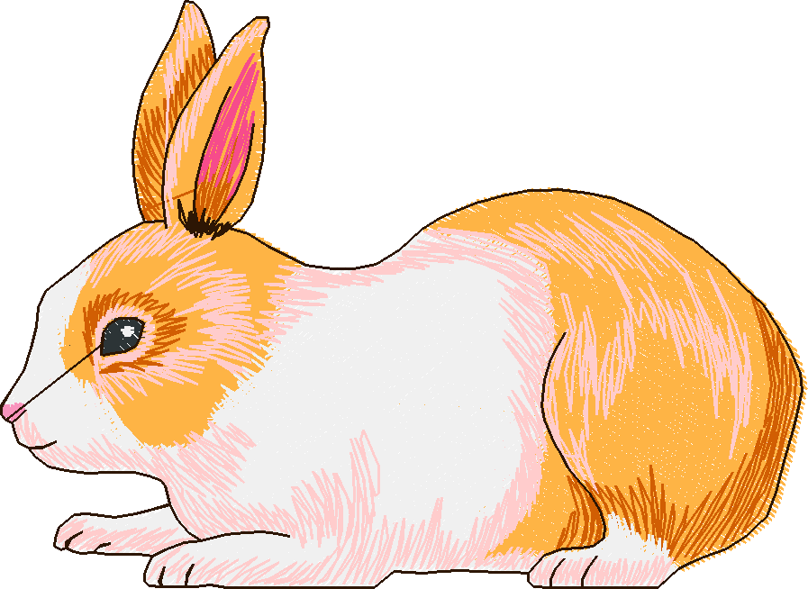 Rabbits 3  (8)