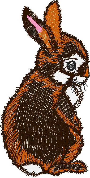 Rabbits 5 (4)