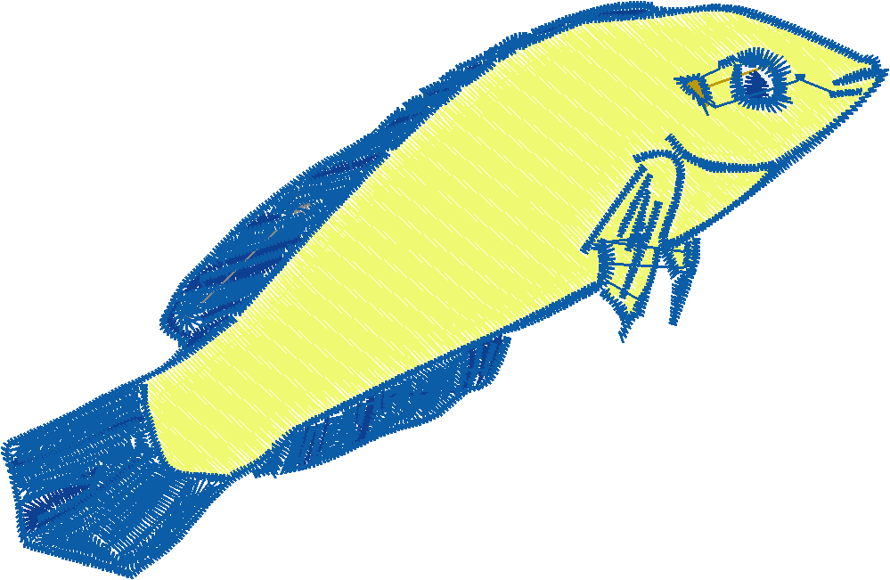 Realistic Fish  (2)